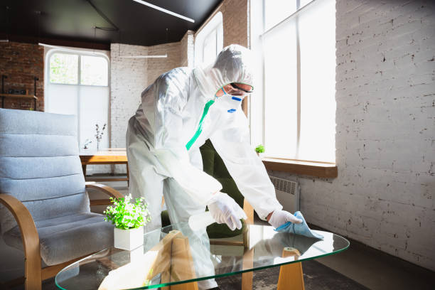 Why You Should Choose Our Mold Remediation Services in Stilwell, OK